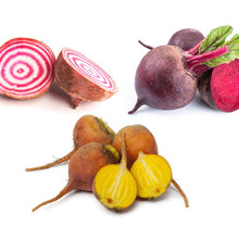 Load image into Gallery viewer, Organic Rainbow Beet Kit | From Seed
