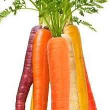 Load image into Gallery viewer, Organic Rainbow Carrot Kit | From Seed
