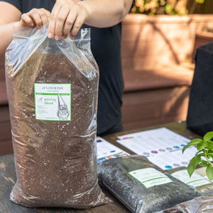 Organic Herb Medley Kit | Live Plants