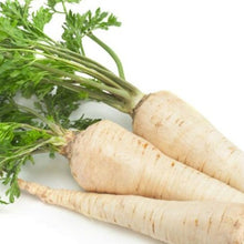 Load image into Gallery viewer, Organic Parsnip Kit | From Seed
