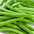 Organic Green Bean Kit | From Seed