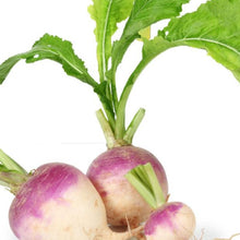 Load image into Gallery viewer, Organic Turnip Kit | From Seed
